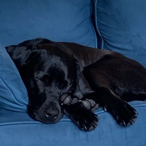 Meet your Posher, Mary